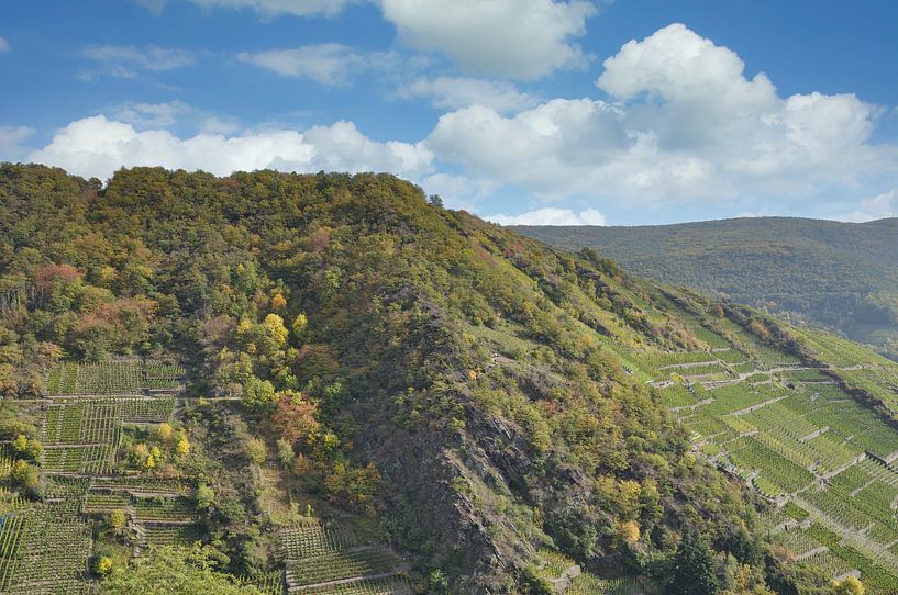 La région viticole de la vallée de l'Ahr par Peter Eckert