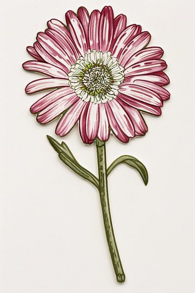 Detailed watercolour flower with leaves by Art & Soul Creations