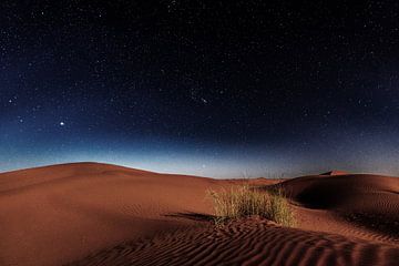 Desert Nighttime van Walljar