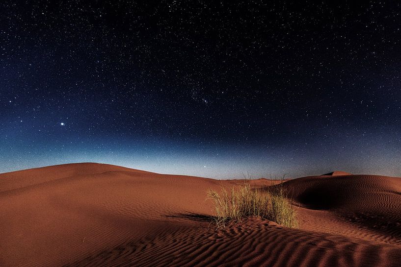 Desert Nighttime by Walljar