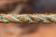 Weathered brown blue rope from a ship in Greenland by Martijn Smeets thumbnail