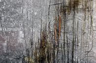 Cane scratches 2 by Joost Bolten thumbnail
