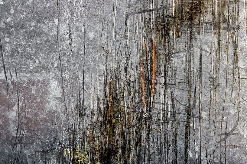 Cane scratches 2 by Joost Bolten