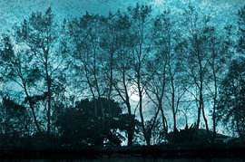 Landschaft mit Bäumen und Mond