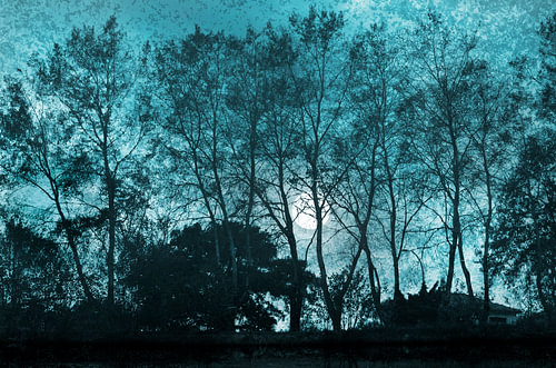 Landschap met bomen en Maan van Corinne Welp