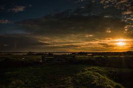 Roegwold bij avond van Meranda Spanjer