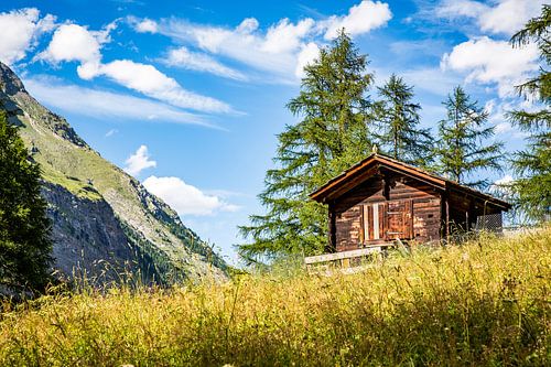 Cabane de montagne dans les Alpes suisses, située dans une prairie alpine ensoleillée