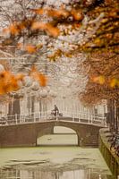 Vroeg ochtend herfst boodschappen in Delft