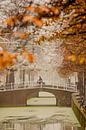 Vroeg ochtend herfst boodschappen in Delft van Gerhard Nel thumbnail