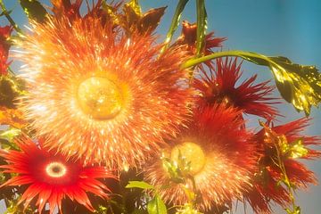 Bloemen meditatie van FRESH Fine Art
