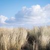 Terschelling met duinen, helmgras en wolken van Paula van den Akker