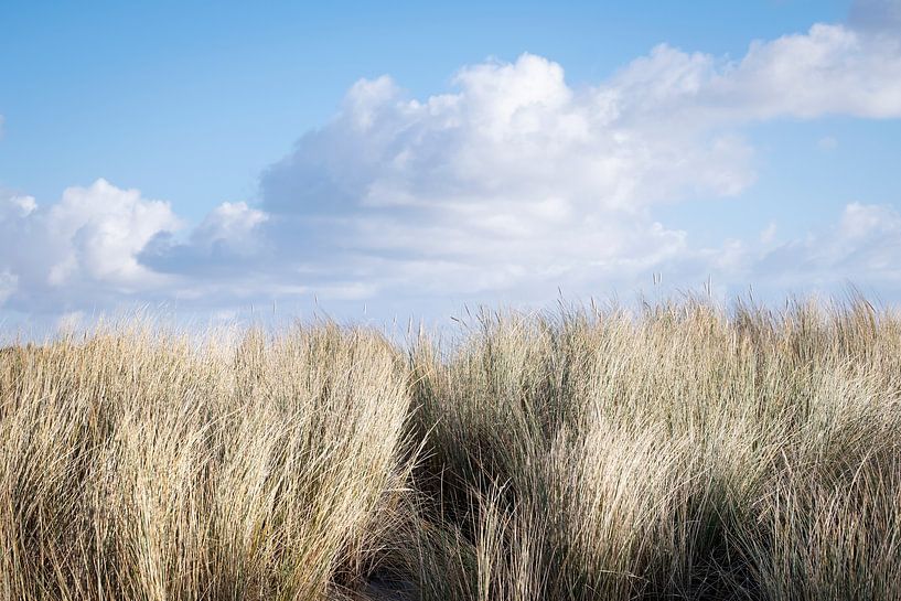 Terschelling mit Dünen, Strandhafer und Wolken von Paula van den Akker