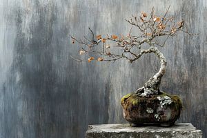 Bonsaï en érable sur une table en pierre et en béton
