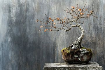 Esdoorn bonsai boom op een steen en betonnen tafel van Digitale Schilderijen