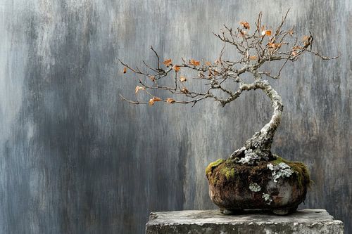 Maple bonsai tree on a stone and concrete table by Digitale Schilderijen