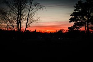 Avondrood op de Huizer heide sur Inge Jansen