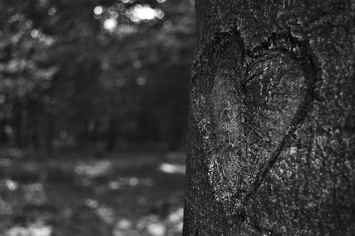 Liefde voor de Natuur...?