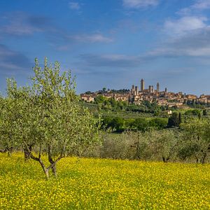 Printemps en Toscane près de San Gimignano