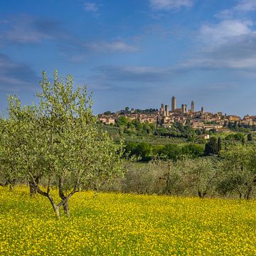 Lente in Toscane bij San Gimignano van Walter G. Allgöwer