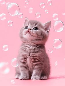 Chaton et bulles de savon
