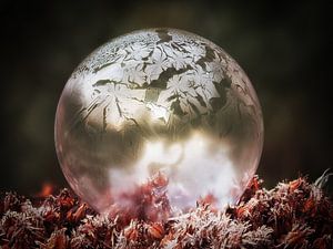 Bulle congelée n°4