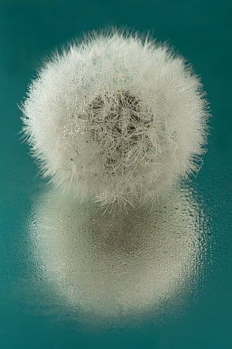 Samen: Alleen met de abstracte reflectie