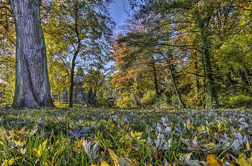 Autumn at the Deventer Ramparts