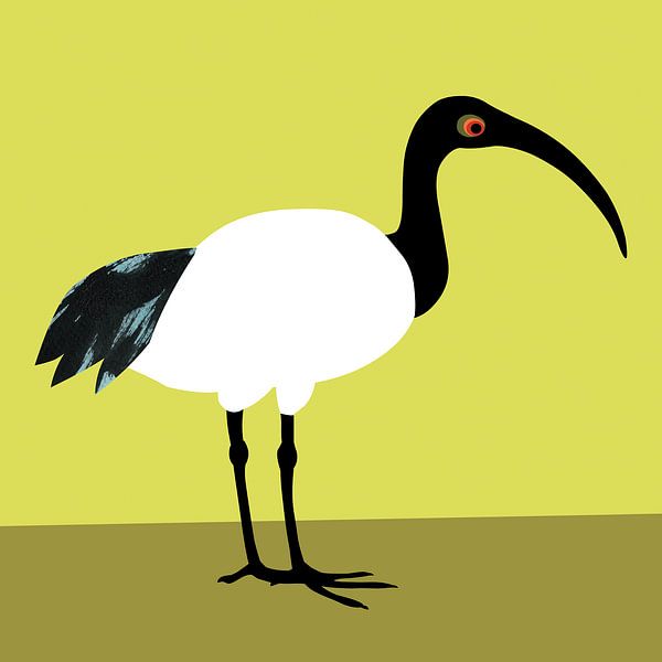 Ibis von Studio Mattie