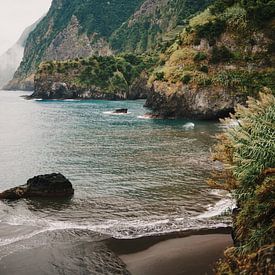Grüne Felsenküste Madeira von Dian Schuurkamp
