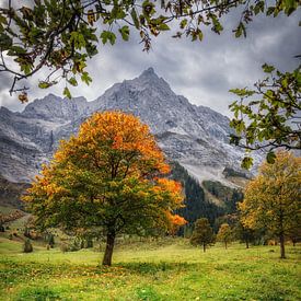 Autumn on the great Ahornboden by Steffen Peters