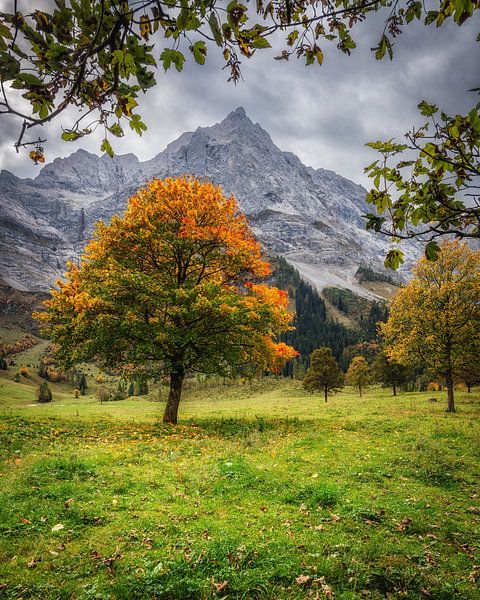 Herfst op de grote Ahornboden van Steffen Peters