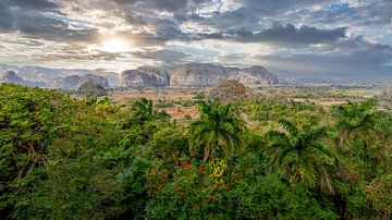 Viñales is a municipality in the Cuban province of Pinar del Río. by René Holtslag