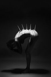 Nude photography by Kenneth Stamp