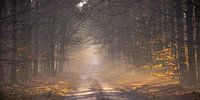 At the end of the path