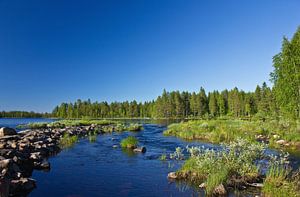 Au bord de la rivière en Finlande
