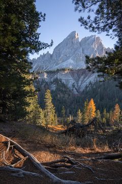 View through to the mountains