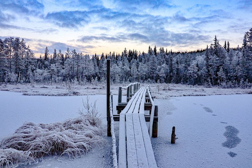 Brug over een Zweeds meer van Fields Sweden