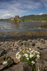 Eileen Donan Castle