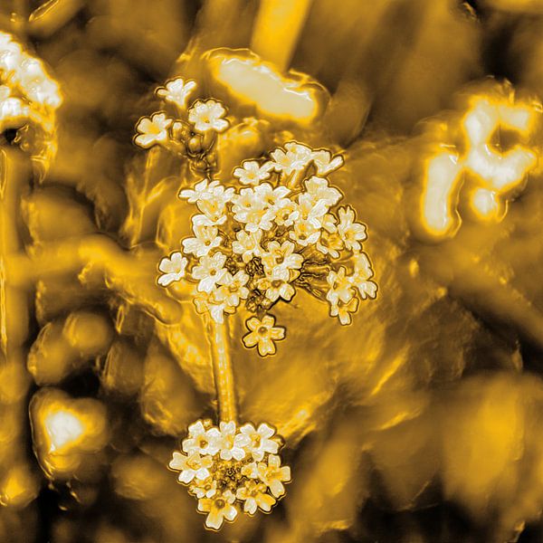 Digital Art Medium Blumen Gold von Hendrik-Jan Kornelis