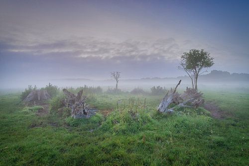 Zonsopkomst en Hollands Polderlandschap