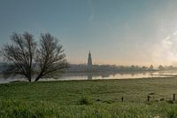 View of Rhenen
