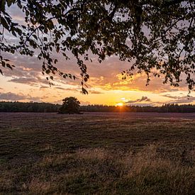 Sonnenuntergang von Ben van Damme