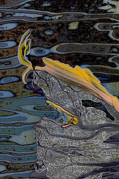 Vibrating colours by Cees van Gastel