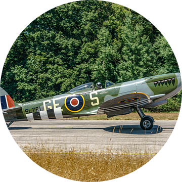 Belgische Supermarine 361 Spitfire LF.XVIe. van Jaap van den Berg