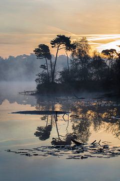 Orange-blue sunrise reflected in a misty lake with peninsula  by Tony Vingerhoets