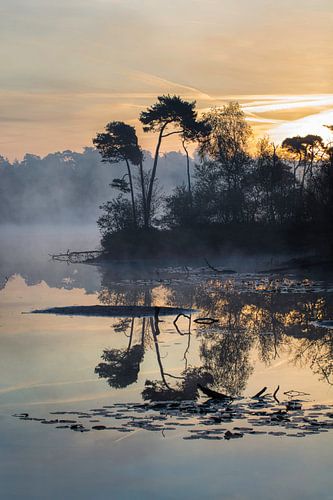 Orange-blue sunrise reflected in a misty lake with peninsula 