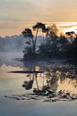 Oranje-blauw zonsopgang tot uiting in een mistige meer met schiereiland van Tony Vingerhoets thumbnail