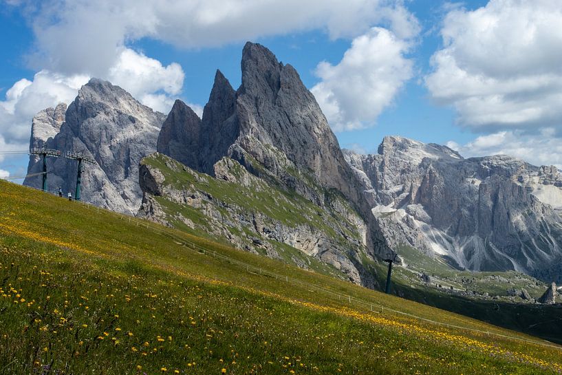 gebloemde Seceda van Sebastian Stef