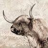 Scottish Highlander als digitales Gemälde. von Alie Ekkelenkamp