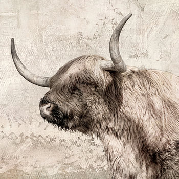 Highlander écossais.